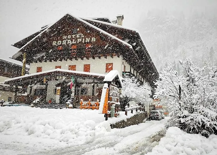 Rosalpina Hotel 3*