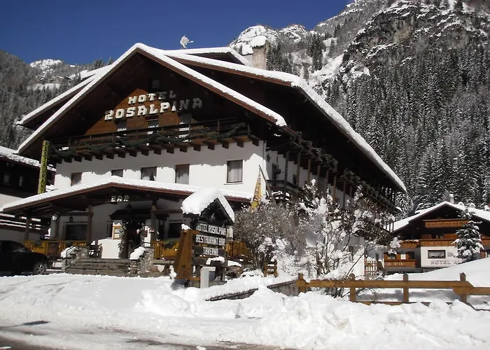 Hotel Rosalpina 3*