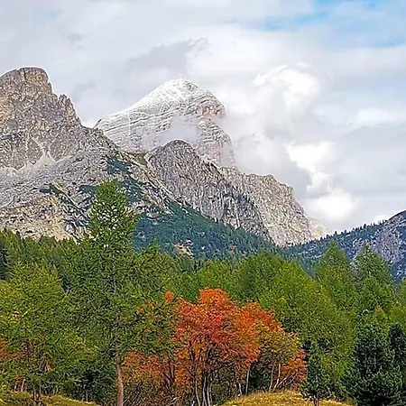 Hotel Rosalpina Rocca Pietore