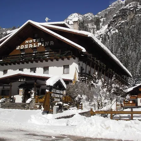 Hotel Rosalpina 3*